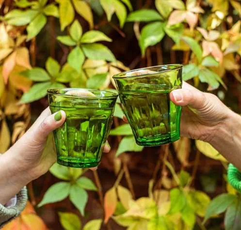Green Glass Tumbler - Set of 6
